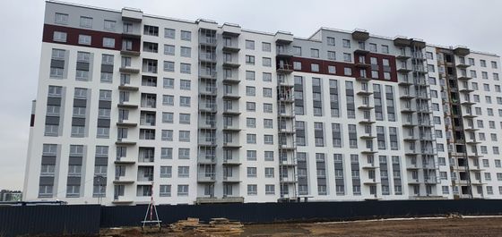 Квартал «Расцветай в Янино», Цветной бул., 9, к. 2 — 1 кв. 2024 г.