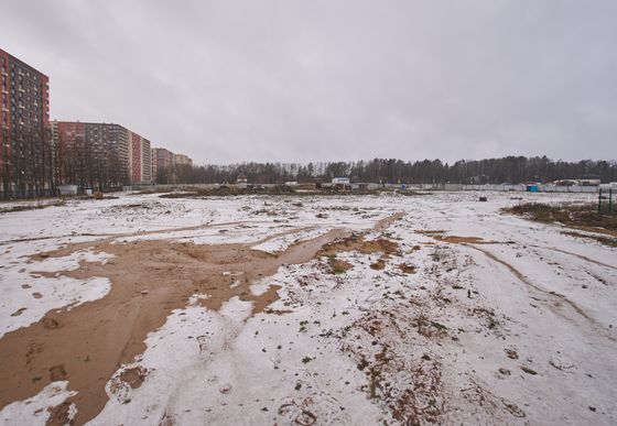 ЖК «Новое Пушкино», корпус 41 — 4 кв. 2025 г.