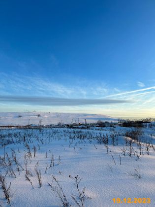 ЖК «Саларьево парк», корпус 20 — 1 кв. 2024 г.