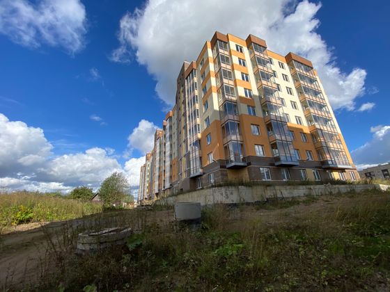 ЖК «Рябиновый сад», ул. Рябиновая, 30 — 3 кв. 2020 г.