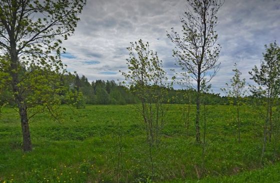Романовка, корпус 1 — 2 кв. 2026 г.