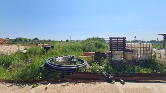 ЖК «Невский квартал» — 4 кв. 2025 г.