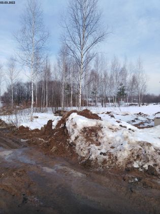 Микрорайон «Новая Дерябиха», д. Дерябиха, 82 — 1 кв. 2022 г.