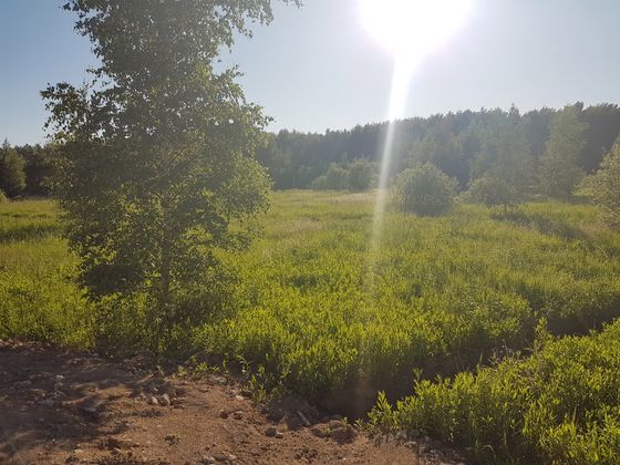 Жилой район «Саларьево парк», ул. Красулинская, 15 — 2 кв. 2019 г.