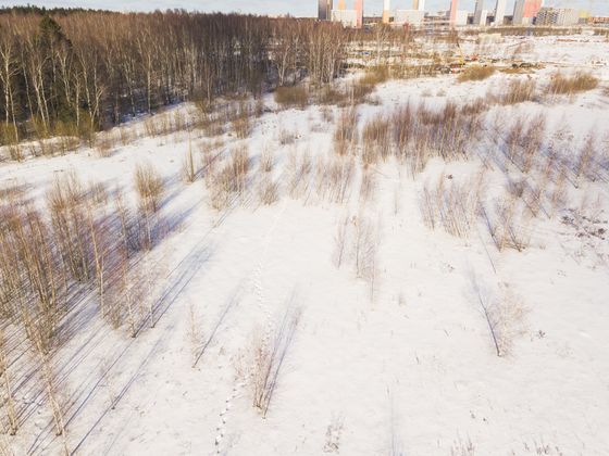 Жилой район «Саларьево парк», ул. Красулинская, 15 — 1 кв. 2019 г.