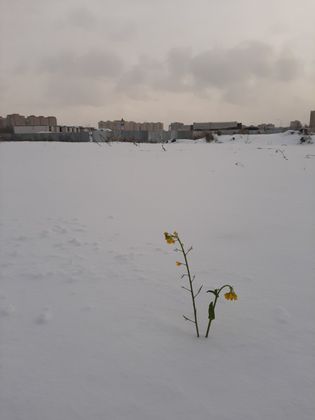 ЖК «Дом на Пражской», ул. Надира Сагдеева, 4 — 4 кв. 2019 г.