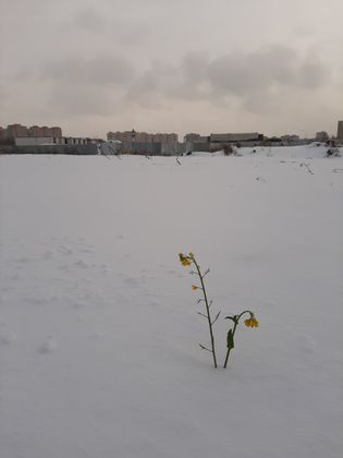 ЖК «Северный Квартал», ул. Надира Сагдеева, 4 — 4 кв. 2019 г.