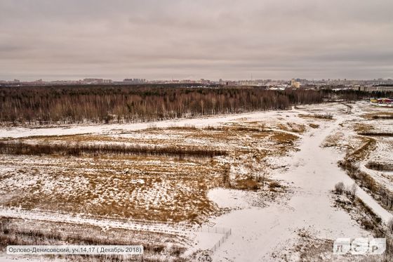 ЖК «Заповедный парк», наб. реки Каменки, 23 — 4 кв. 2018 г.