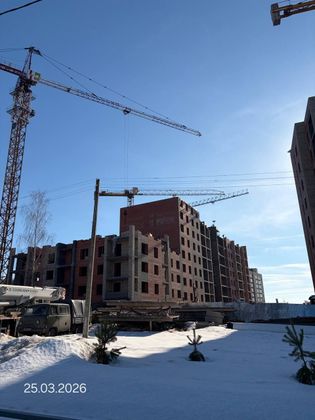 ЖК «Лесной квартал» — 1 кв. 2026 г.