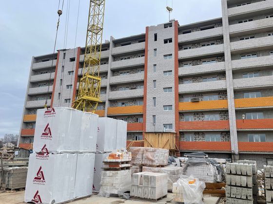 Микрорайон «Новосельцы» — 1 кв. 2024 г.