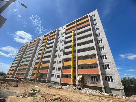 Микрорайон «Новосельцы» — 2 кв. 2024 г.