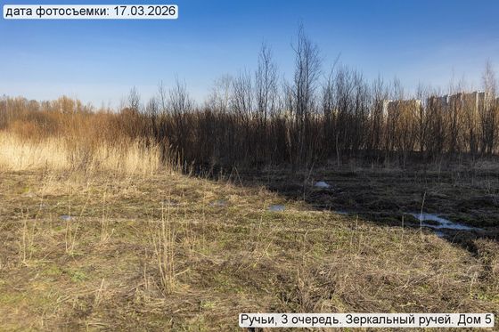 ЖК «Зеркальный ручей» — 1 кв. 2026 г.