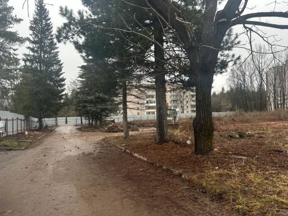 ЖК «Дом Природы» — 4 кв. 2025 г.