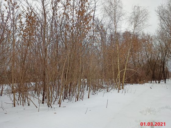 ЖК «ОСТРОВ», ул. Нижние Мнёвники, 9 — 1 кв. 2021 г.