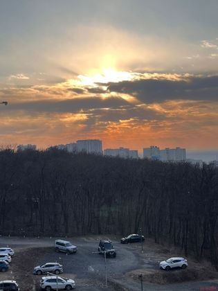 ЖК «Парк Авеню» — 4 кв. 2024 г.