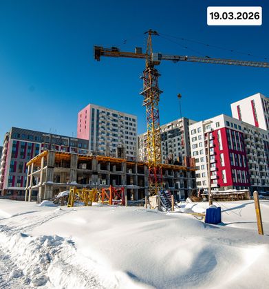 Микрорайон «Ежевика» — 1 кв. 2026 г.