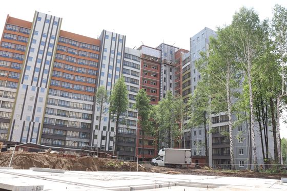 Квартал поколений «Династия» — 2 кв. 2025 г.