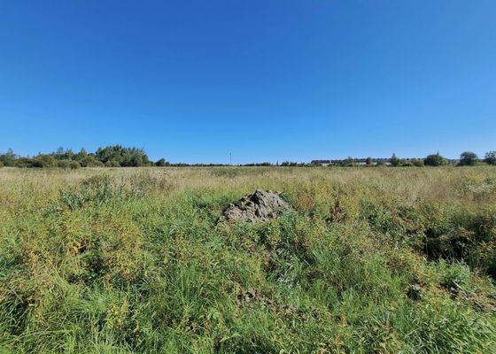 ЖК «Всевгород» — 3 кв. 2026 г.