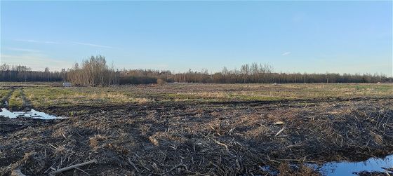 ЖК «Всевгород» — 2 кв. 2025 г.