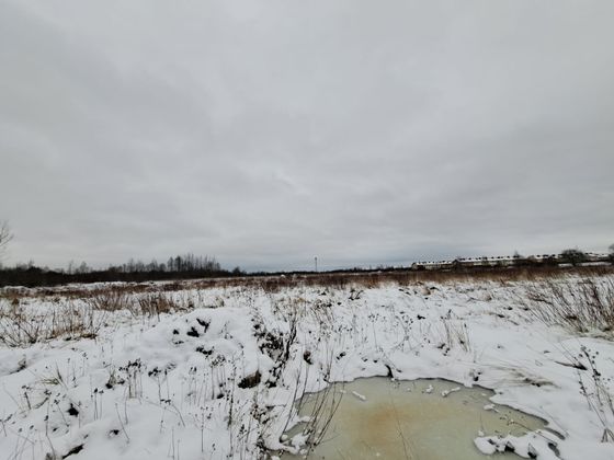 ЖК «Всевгород» — 4 кв. 2025 г.