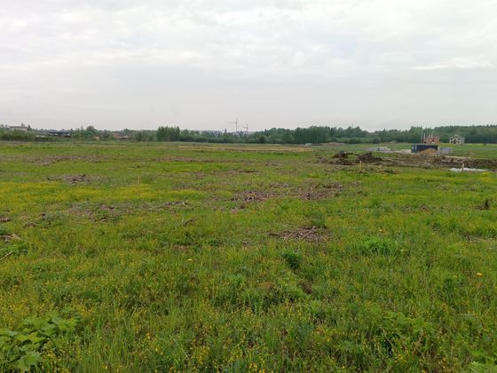 ЖК «Всевгород» — 3 кв. 2025 г.