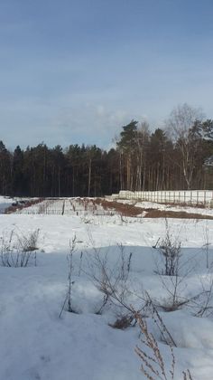 Клубный дом «Грибовский лес», ул. Парковая, 1 — 1 кв. 2019 г.