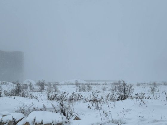 Город-парк «Первый Московский» — 1 кв. 2024 г.