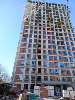 Дом «Тринити» — 1 кв. 2025 г.