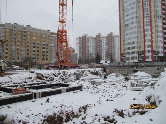 ЖК Благовещенский — 4 кв. 2025 г.