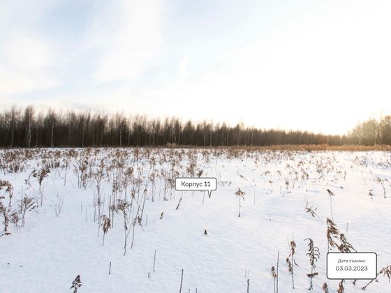 ЖК «Квартал Сабурово», корпус 11 — 1 кв. 2023 г.