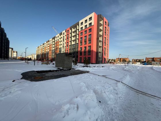 Микрорайон «Фламинго» — 4 кв. 2025 г.