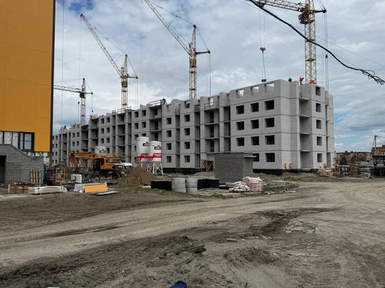 Микрорайон «Фламинго» — 2 кв. 2025 г.