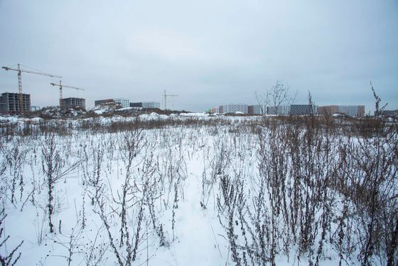 ЖК «Ильинские луга», Архангельская ул., 11 — 4 кв. 2020 г.