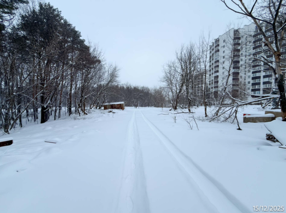 Квартал «Лесное Ожерелье» — 4 кв. 2025 г.