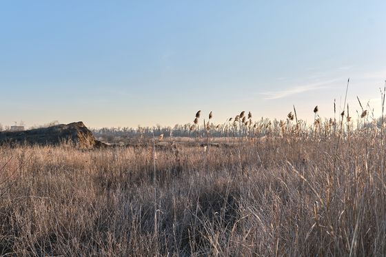 ЖК «Европа-Сити», корпус 9.1 — 1 кв. 2023 г.