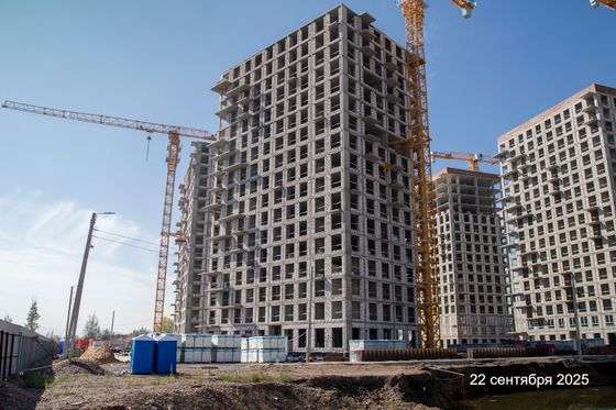 ЖК «Рябиновая Роща» — 3 кв. 2025 г.