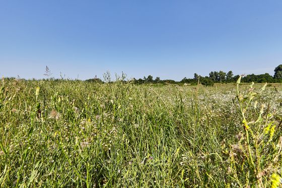 ЖК «Европа-Сити», корпус 9.3 — 3 кв. 2021 г.