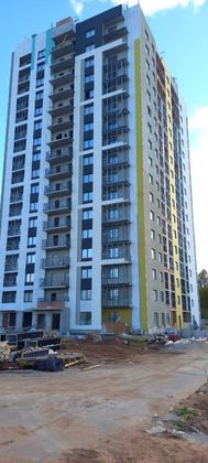 ЖК «Краски леса» — 3 кв. 2025 г.