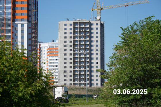 Микрорайон «Дружный» — 2 кв. 2025 г.