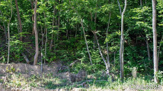 ЖК «Победа. II очередь» — 3 кв. 2025 г.