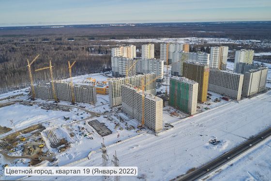 ЖК «Цветной город», Муринская дорога, 31, к. 2 — 1 кв. 2022 г.