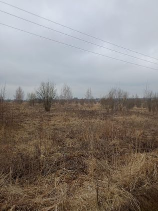 ЖК «Дубровицы Клаб» — 4 кв. 2025 г.