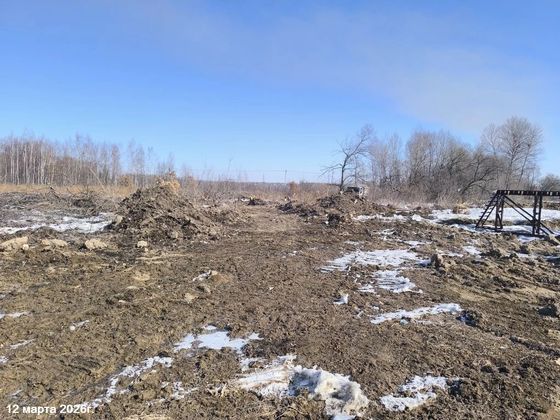 ЖК «Чемпион» — 1 кв. 2026 г.