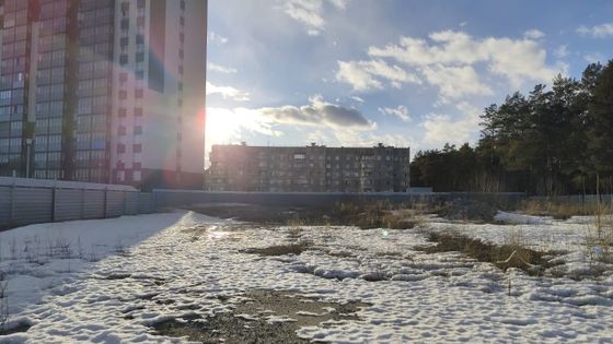 Квартал «Сосновый бор» — 1 кв. 2025 г.