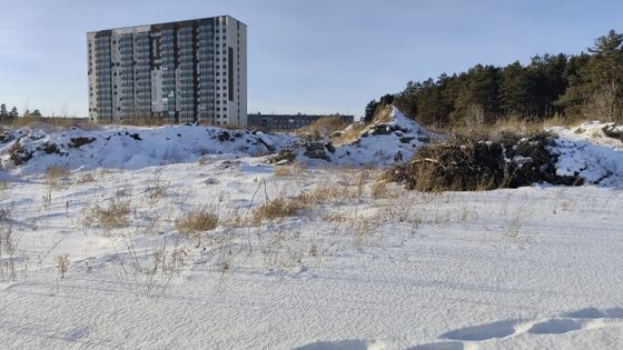 Квартал «Сосновый бор» — 4 кв. 2024 г.