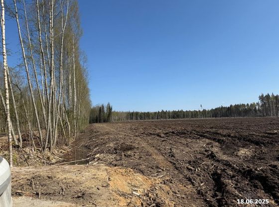 ЖК «Ягодное Река Парк» — 2 кв. 2025 г.
