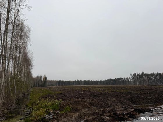 ЖК «Ягодное Река Парк» — 4 кв. 2025 г.