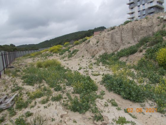 ЖК «Резиденция Анаполис», ул. Калинина, 150, к. 24 — 2 кв. 2021 г.