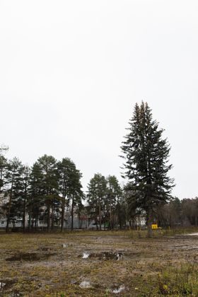 ЖК «Новая Верба» — 4 кв. 2025 г.