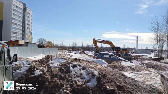 Экопарк «Лесная гавань» — 1 кв. 2026 г.